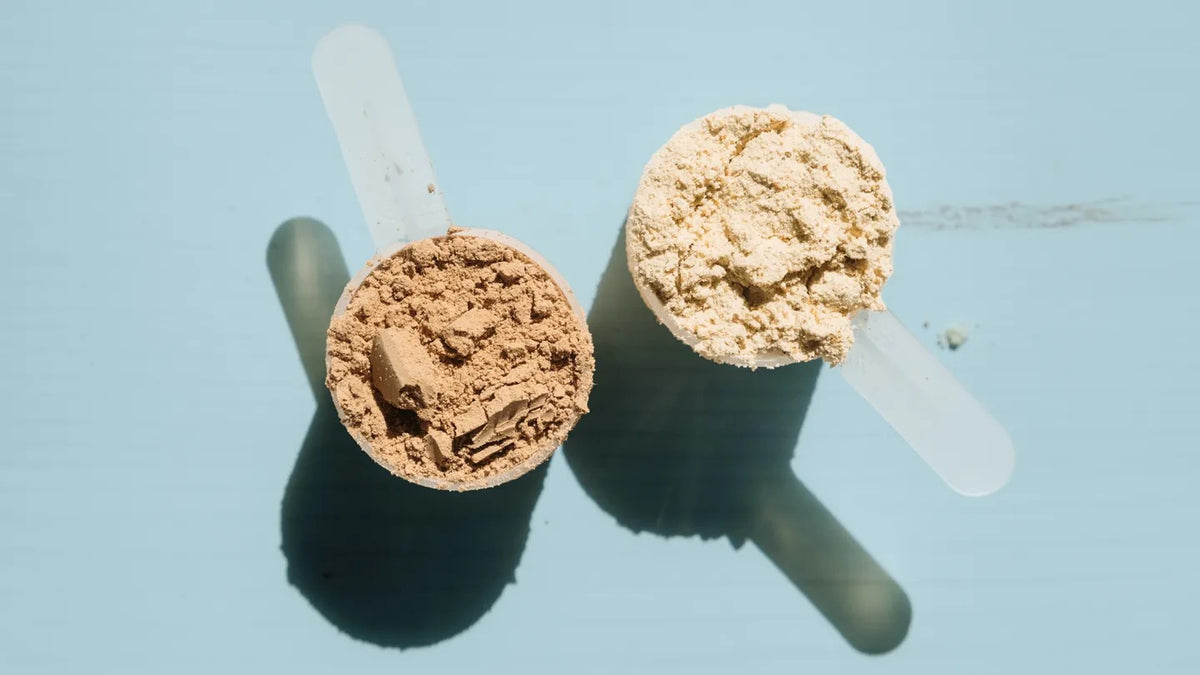 Protein