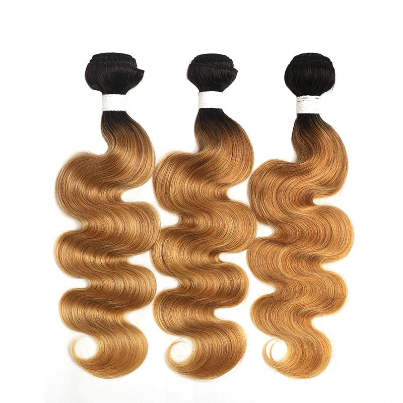 3 Bundles T1b-27 Ombre Body Wave Human Hair
